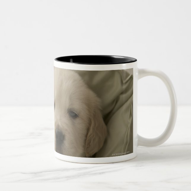 Taza Bicolor Almohada alrededor del perro (Derecha)
