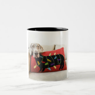 Taza Bicolor Almohada del cuerpo