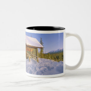 Taza Bicolor alquiler de la cabaña USFS Schnauss en invierno co