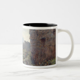 Taza Bicolor Althing en la sesión