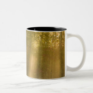 Taza Bicolor Amanecer brumoso en Tamarac NWR cerca de Detroit L