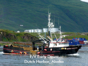 Decoracion Barcos Pesqueros Para El Hogar Y Mascotas Zazzle Es