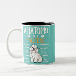 Taza Bicolor amante del perro maltés de la anatomía