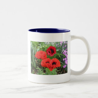 TAZA BICOLOR ¡AMAPOLAS!