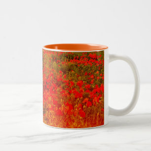 Taza Bicolor Amapolas conmemorativas