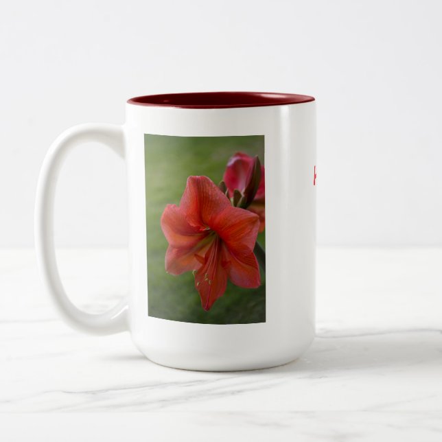 Taza Bicolor Amaryllis (Izquierda)