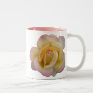 Taza Bicolor Ámele mamá