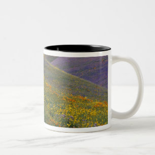Taza Bicolor América del Norte, Estados Unidos, California, Lo