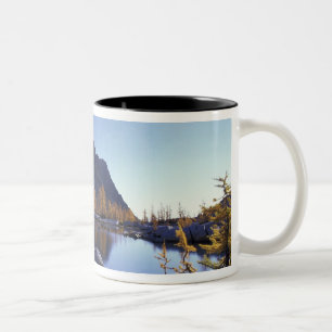 Taza Bicolor América del Norte, Estados Unidos, Washington, enc