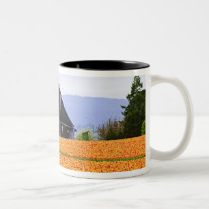 Taza Bicolor América del Norte, Estados Unidos, Washington, Ska