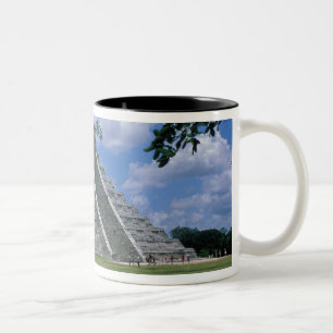 Taza Bicolor América del Norte, México, Península de Yucatán, 2