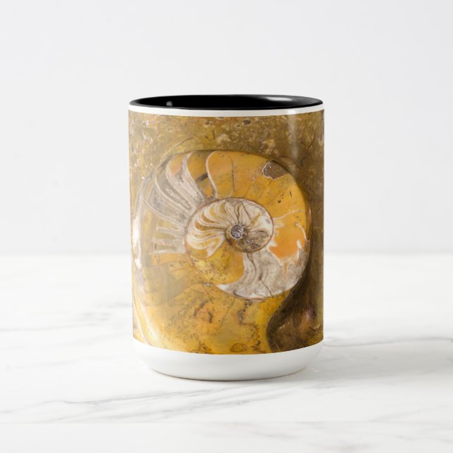 Taza Bicolor Ammonita y otros fósiles en el rock (Centro)