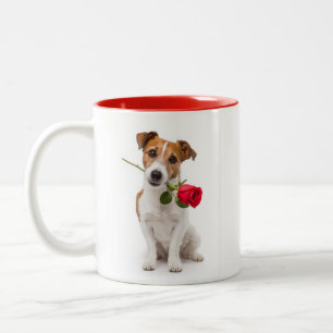Taza Bicolor Amor de Terrier
