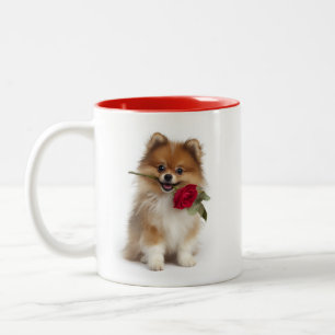 Taza Bicolor Amor Pomerania