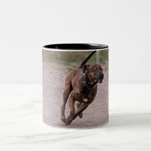 Taza Bicolor Amstaff corriendo