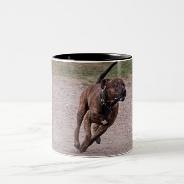 Taza Bicolor Amstaff corriendo (Centro)
