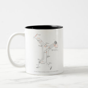 Taza Bicolor Anatomía de la sinapsis de neuronas con células 