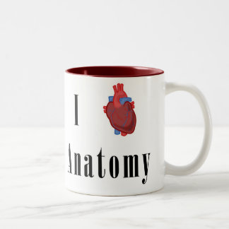Taza Bicolor Anatomía del *Heart* I