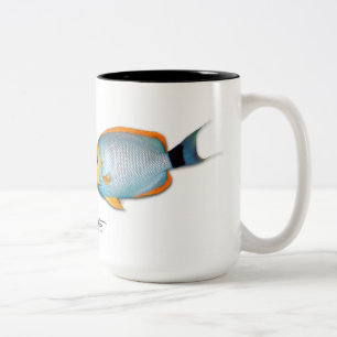 Taza Bicolor Angelfish enmascarado Hawaiian, personatus de
