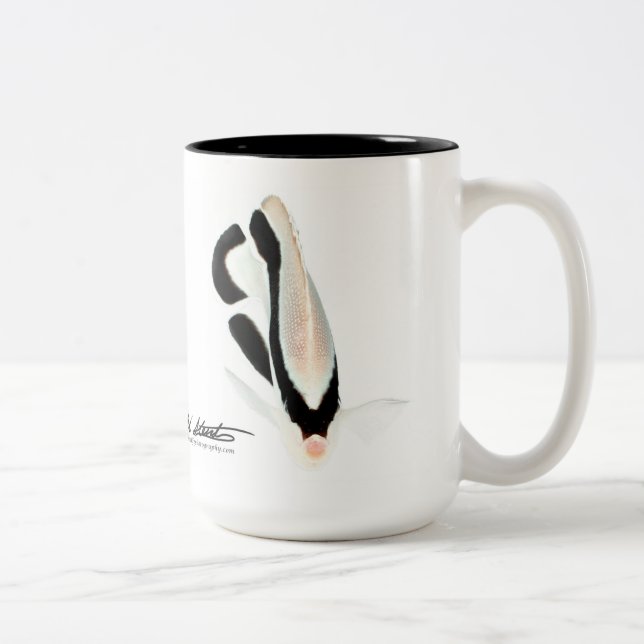 Taza Bicolor Angelfish hawaiano del bandido (Derecha)