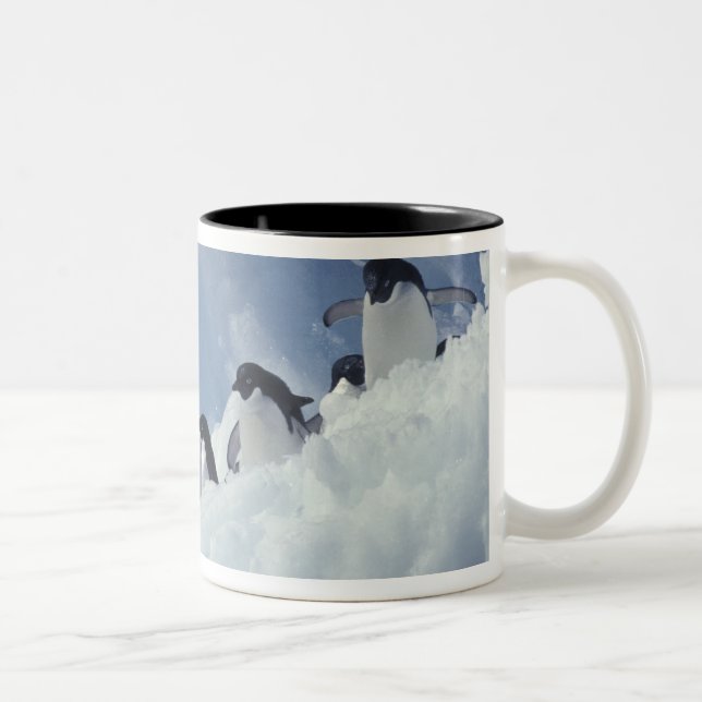 Taza Bicolor Antártica. Pingüinos de Adelie (Derecha)