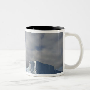 Taza Bicolor Antártida, Estrecho de Bransfield, Sol de tarde