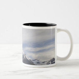 Taza Bicolor Antártida, Islas Georgias del Sur (Reino Unido), R