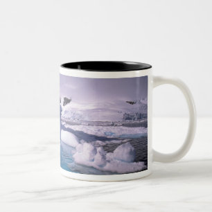 Taza Bicolor Antártida. Paisajes de hielo antártico 2