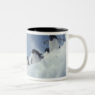 Taza Bicolor Antártida. Pingüinos Adelie