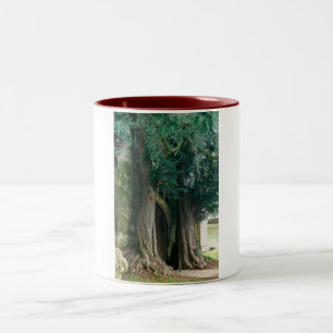 Taza Bicolor Antiguos Yew Trees