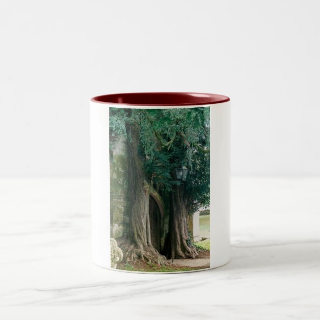 Taza Bicolor Antiguos Yew Trees (Centro)