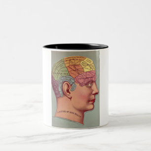 Taza Bicolor antique Mind Brain Map Phrenology head