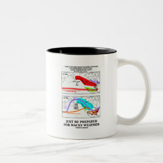 Taza Bicolor Apenas prepárese para el tiempo raro