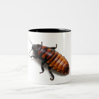 Taza Bicolor Aplaste el Hisser