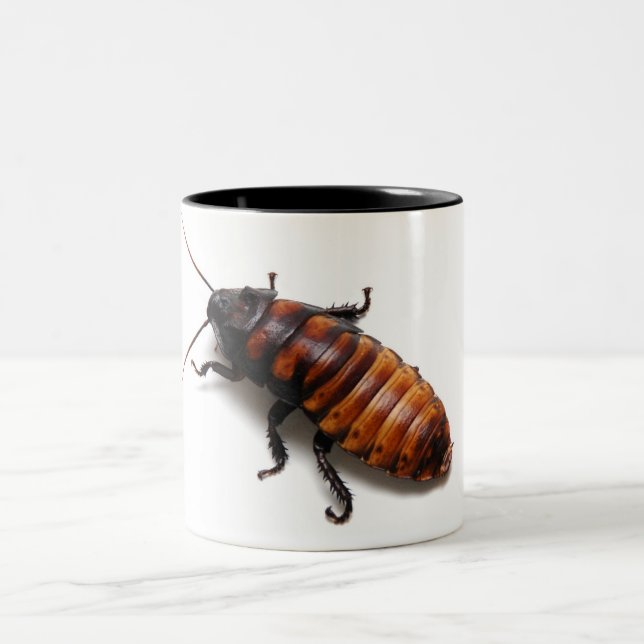 Taza Bicolor Aplaste el Hisser (Centro)