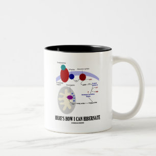 Taza Bicolor Aquí es cómo puedo Hibernate (Thermogenesis)