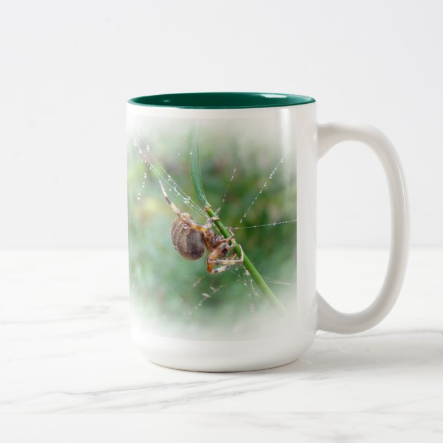 Taza Bicolor Araneus - Orb Weaver Spider (Derecha)