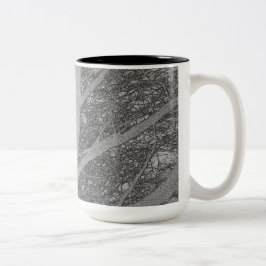 Taza Bicolor Árbol al anochecer con pájaros anidando 1a