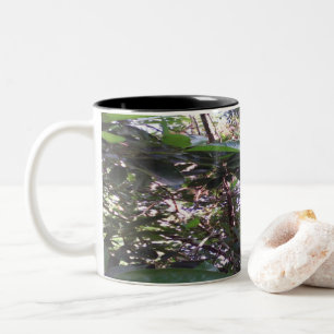 Taza Bicolor Árbol de aguacates