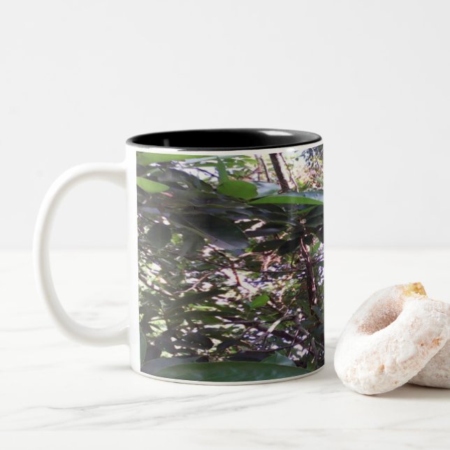Taza Bicolor Árbol de aguacates (Con donut)