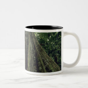 Taza Bicolor Árbol de marismas en la selva tropical, Corcovado