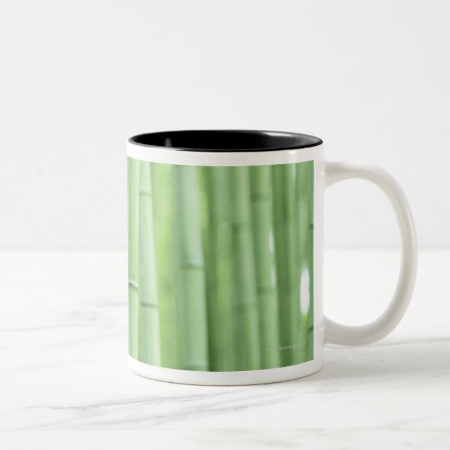 Taza Bicolor Arboleda de bambú (Derecha)