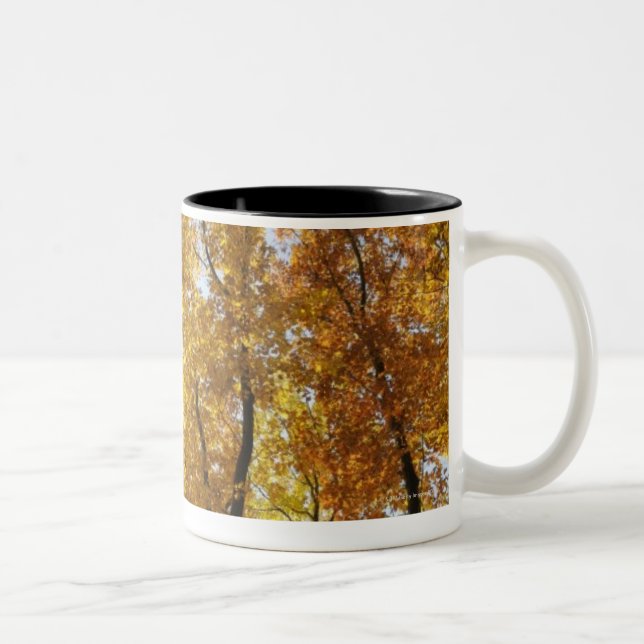 Taza Bicolor Árboles coloridos (Derecha)