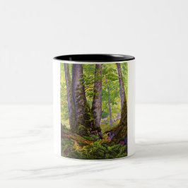 Taza Bicolor Árboles de haya en el bosque (bosques) (Paul Ranso