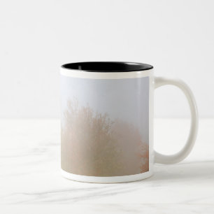 Taza Bicolor Árboles de la caída cubiertos en niebla