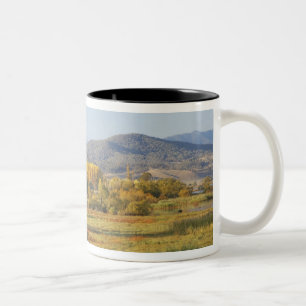 Taza Bicolor Árboles de otoño, Khancoban, Montañas Nevadas, Nue