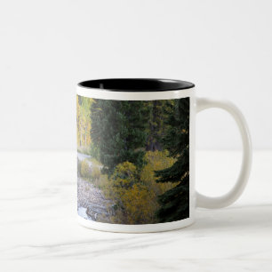 Taza Bicolor Árboles del río Provo y álamos