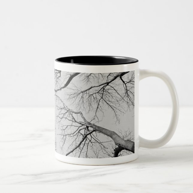Taza Bicolor Árboles deshojados en la madera de Thiepval (Derecha)