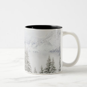 Taza Bicolor Árboles en invierno
