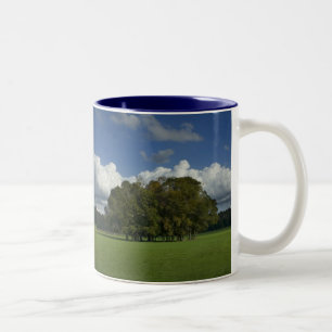 Taza Bicolor Árboles en jareta de hierba